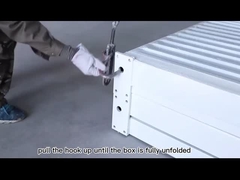 グランデのビデオ